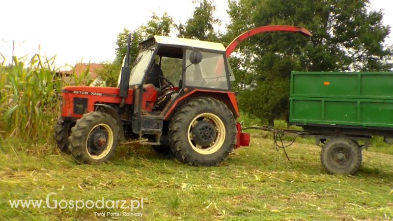 Kiszonka 2013