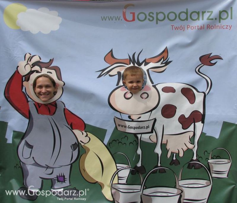 Wielkopolskie Targi Rolnicze „Sielinko 2011”  - Krówka Gospodarza