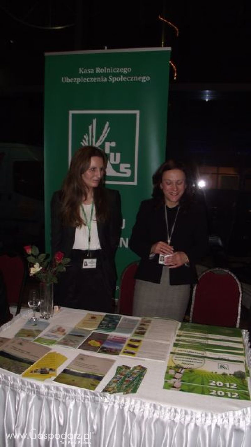 Wybór wójta roku 2011