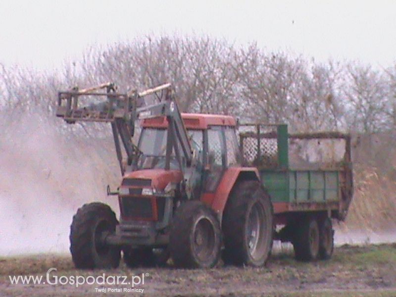 Wywóz  Obornik 2013