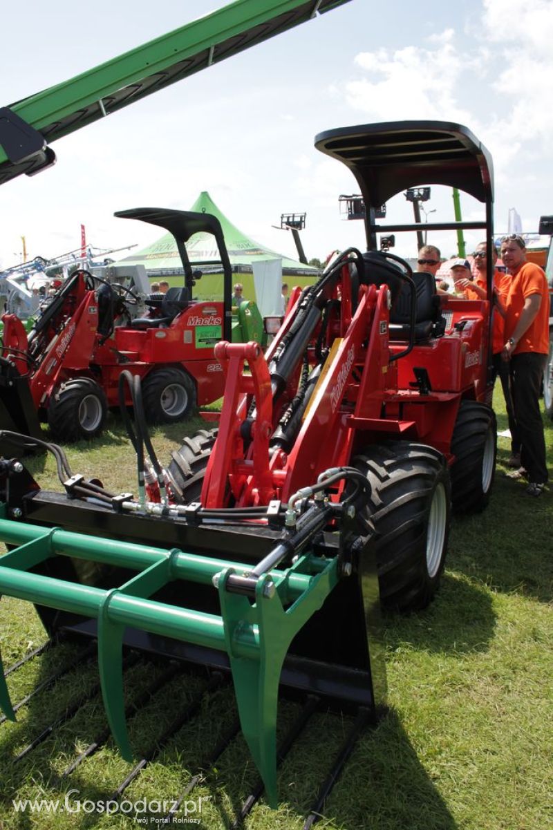 Bogart  - Minikowo 2012