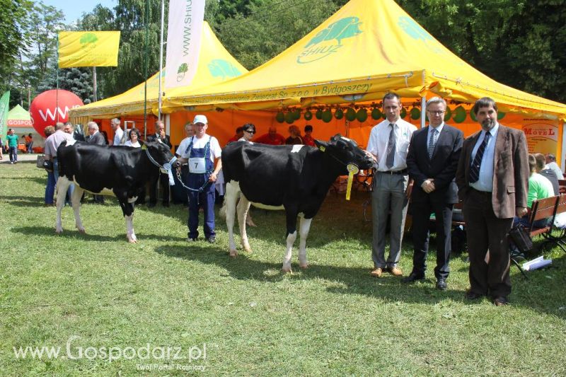 Regionalna Wystawa Zwierząt Hodowlanych i Dni z Doradztwem Rolniczym w Szepietowie-sobota