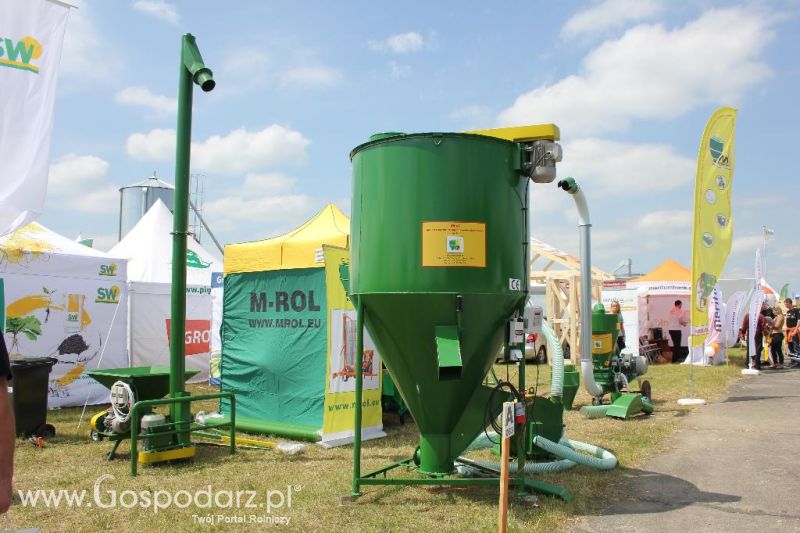 M-Rol na Opolagrze 2013