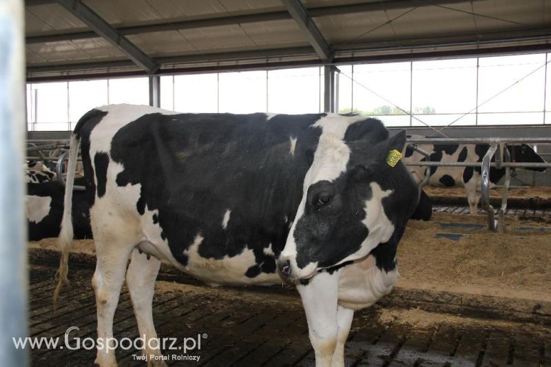 Dni Otwarte w GR Hendripol sp. z o.o.