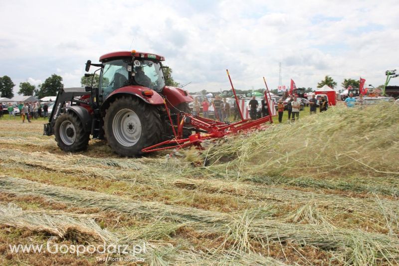 Pokazy polowe Romanów k/Krotoszyna
