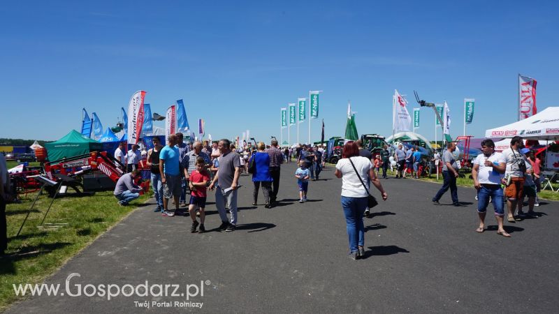 ZIELONE AGRO SHOW 2017 w Ułężu (niedziela, 28 maja)