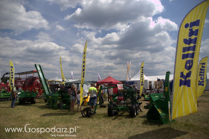 Kellfri na OPOLAGRZE 2016