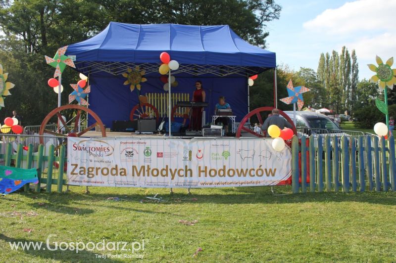 Świętomięs Polski w Chorzowie