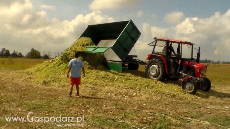 Kiszonka 2013