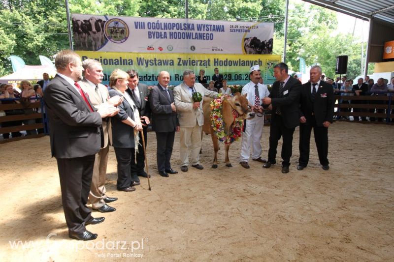 VIII Ogólnopolska Wystawa Bydła Hodowlanego, XXI Regionalna Wystawa Zwierząt Hodowlanych i Dni z Doradztwem Rolniczym w Szepietowie