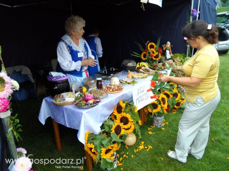 II Festiwal Wieprzowiny w Kwidzyniu