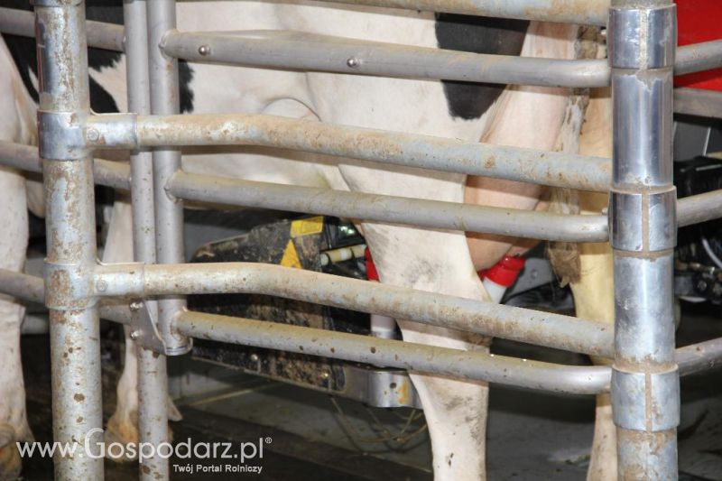Dni Otwarte w GR Hendripol sp. z o.o.