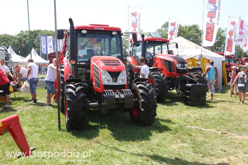  Regionalna Wystawa Zwierząt Hodowlanych W Szepietowie 2016 z Gospodarz.pl