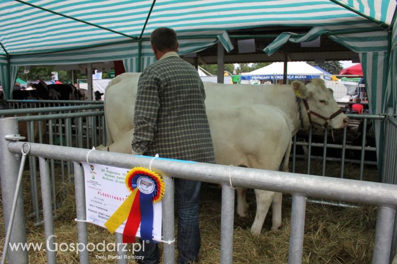 Relacja Foto Agro-Tech Minikowo 2012