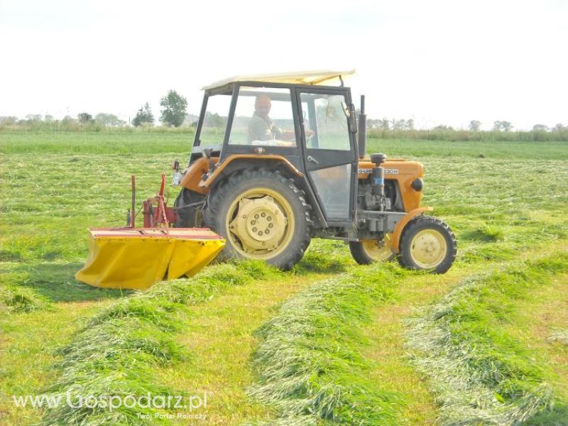 pierwsze sianokosy w roli głownej ursus c330M...