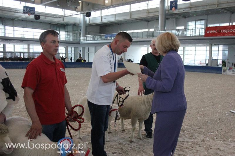 XXVI Krajowa Wystawa Zwierząt Hodowlanych - sobota i niedziela