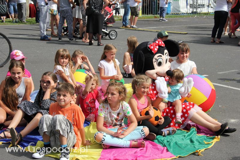 IV Ogólnopolski Festiwal Wieprzowiny - Koźmin Wlkp 2016