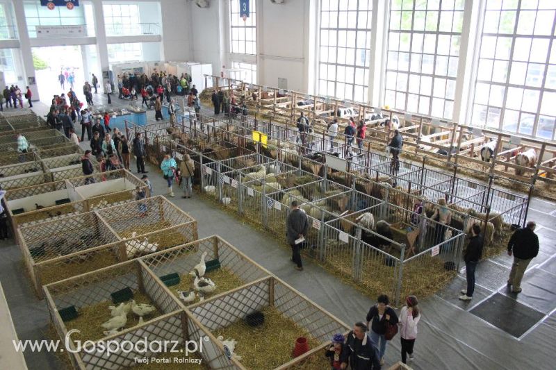 XXVI Krajowa Wystawa Zwierząt Hodowlanych - sobota i niedziela