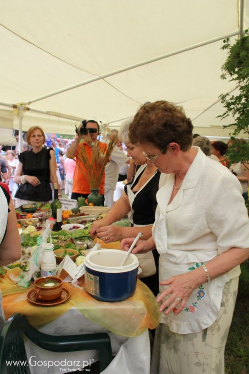 VIII Święto Gęsi - Konkurs kulinarny Najlepsza potrawa z Gęsi