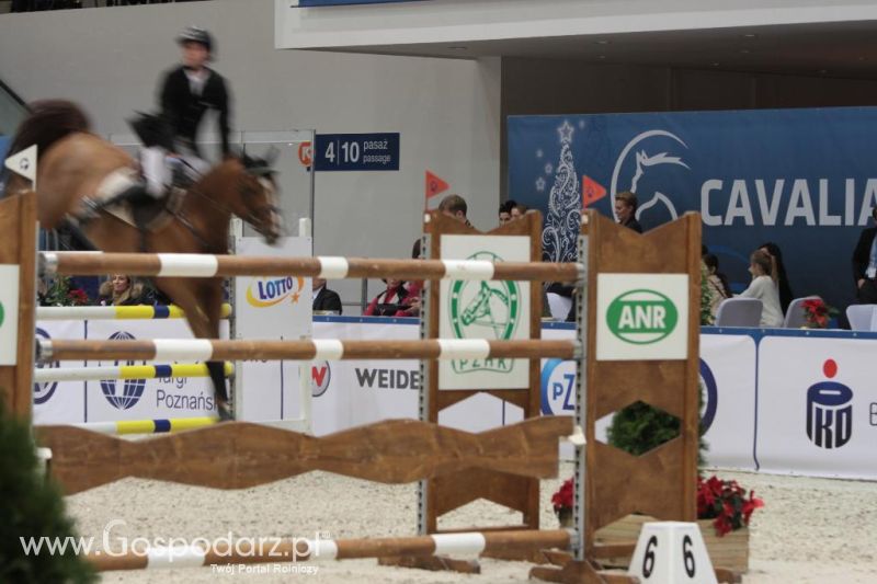 CAVALIADA 2013 w Poznaniu