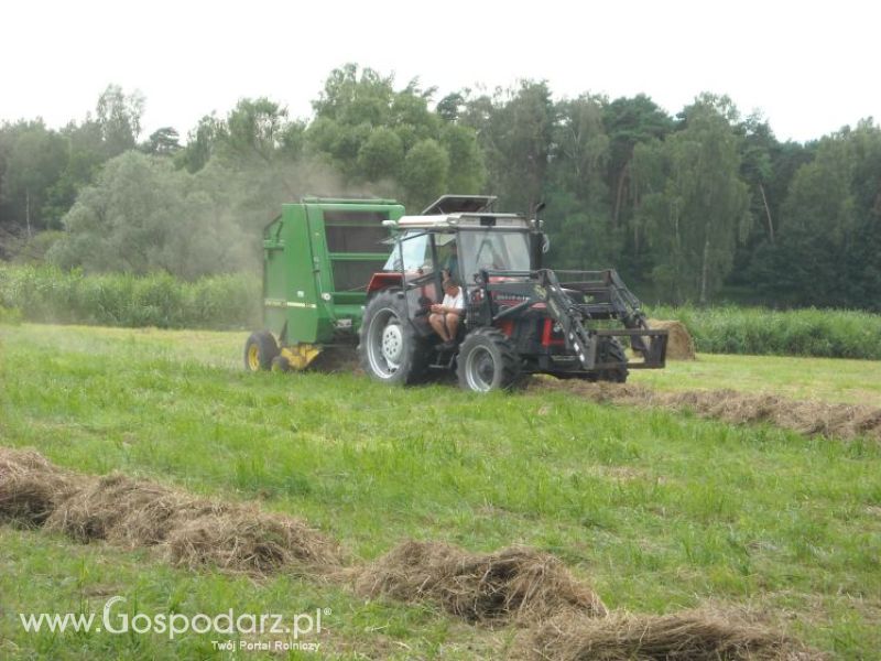 zbieranie siana 2012 ursusem c330m i 1014 de luxe