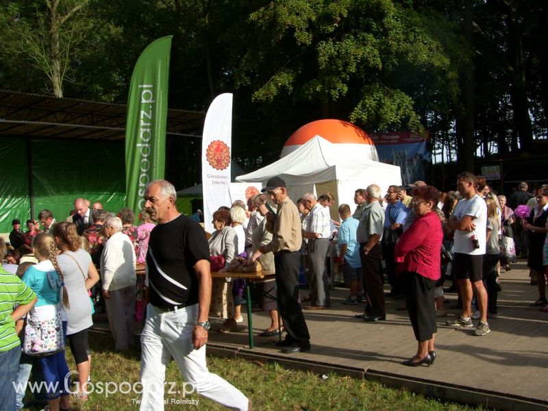 Festiwal Wieprzowiny Drzeczkowo 2012