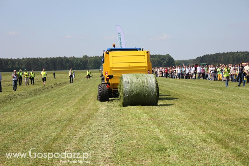 Zielone Agro Show pokaz maszyn rolniczych