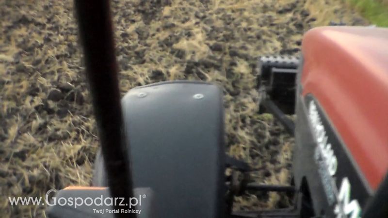 Talerzowane 2013 