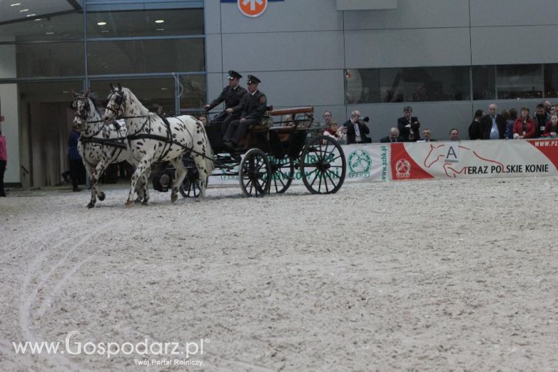 CAVALIADA 2013 w Poznaniu