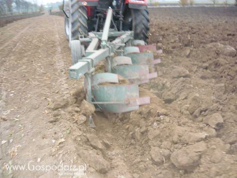 MrZgredy de luxa mają więc w polu sobie rade dają Orka Zimowa 2011