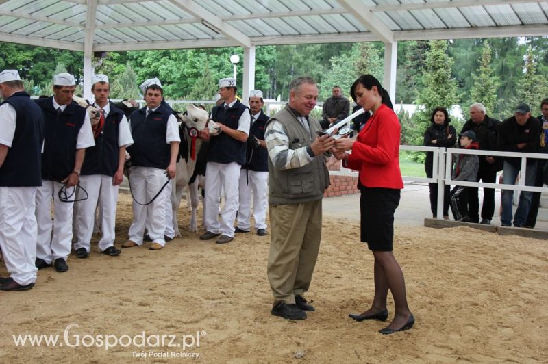 Prezentacja Championów na VII Ogólnopolskiej Wystawie Bydła Hodowlanego w Sielinku 2012