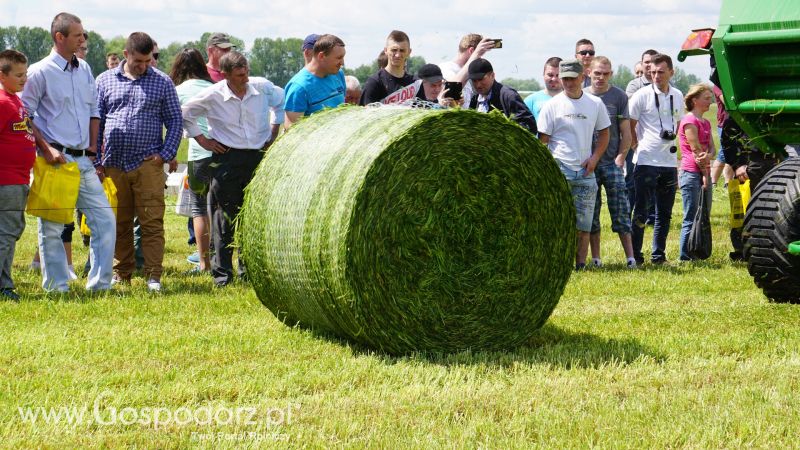 ZIELONE AGRO SHOW 2017 w Ułężu (niedziela, 28 maja)