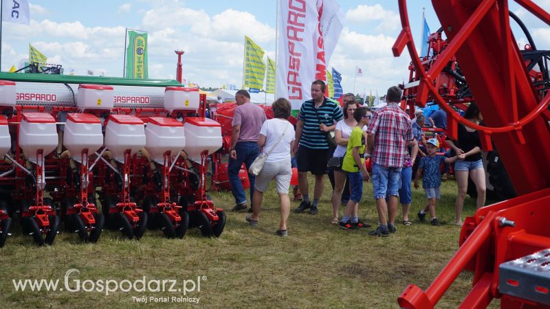 Maschio Gaspardo na Opolagrze 2017