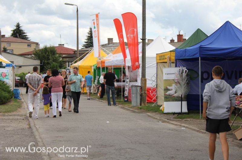 Festiwal Wieprzowiny w Bełżycach