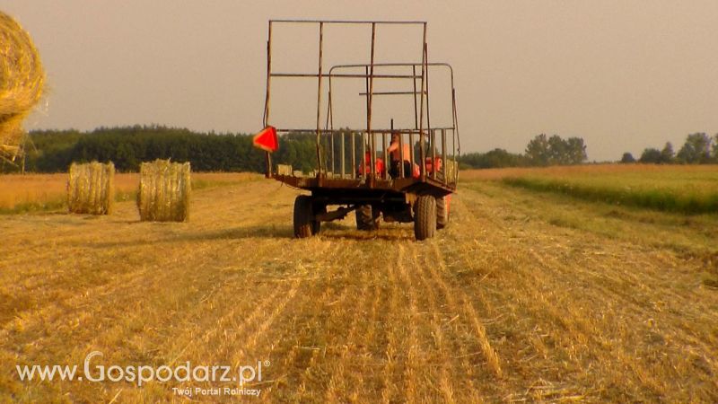 Zbiór Słomy 2013