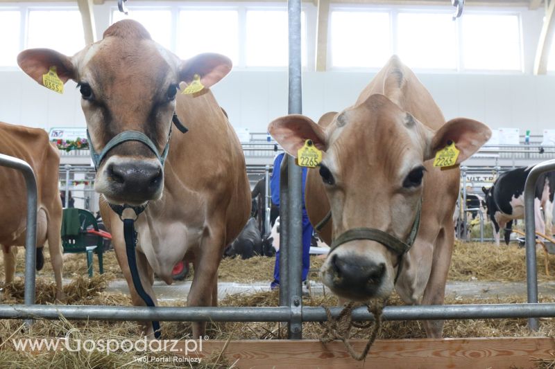 Krajowa Wystawa Zwierząt Hodowlanych w Poznaniu 2017 (piątek, 5 maja)