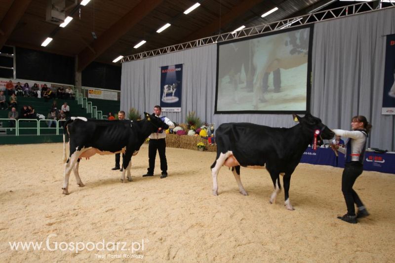 Wystawa  Blickpunkt Rind 2013 w miejscowości Paaren/Glien (Niemcy)