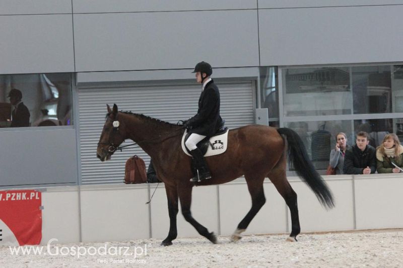 CAVALIADA 2013 w Poznaniu