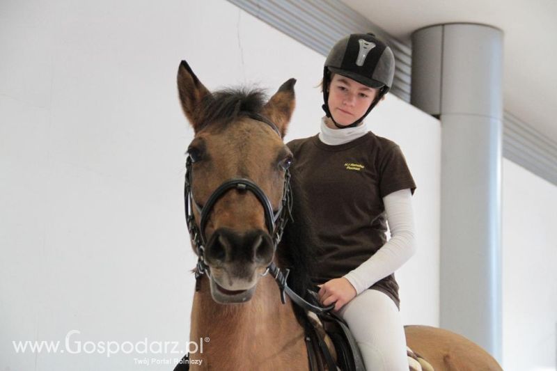 CAVALIADA 2013 w Poznaniu