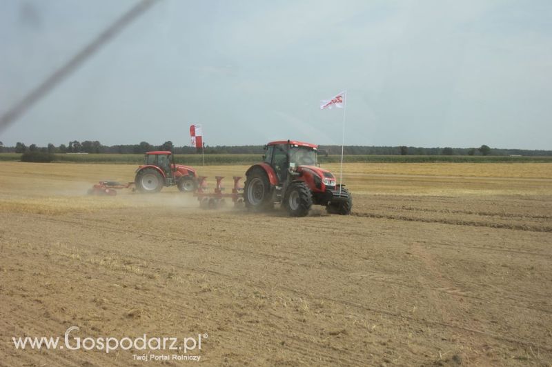 ZETOR FAMILY TRACTOR SHOW 2012 - Tursko k/Kalisza