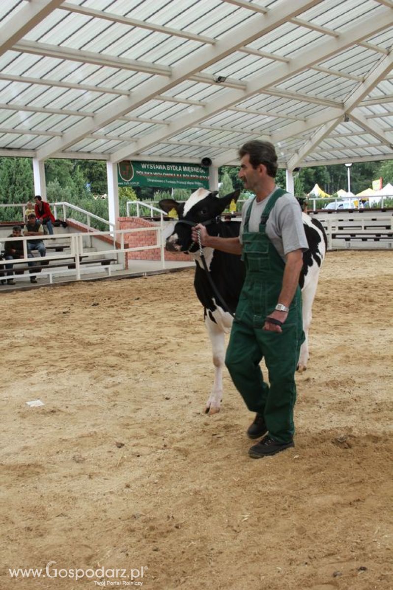 Wystawa bydła Sielinko 2011