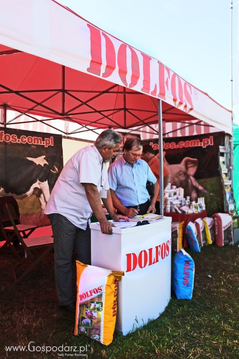 Dolfos na Agro Show w Bednarach