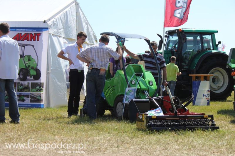 Serafin na Opolagra 2012