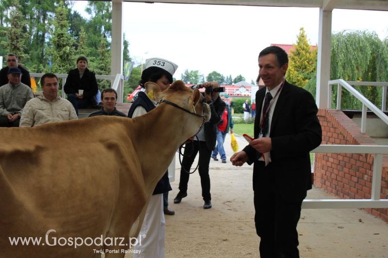 VII Ogólnopolska Wystawa Bydła Hodowlanego - Sielinko 2012