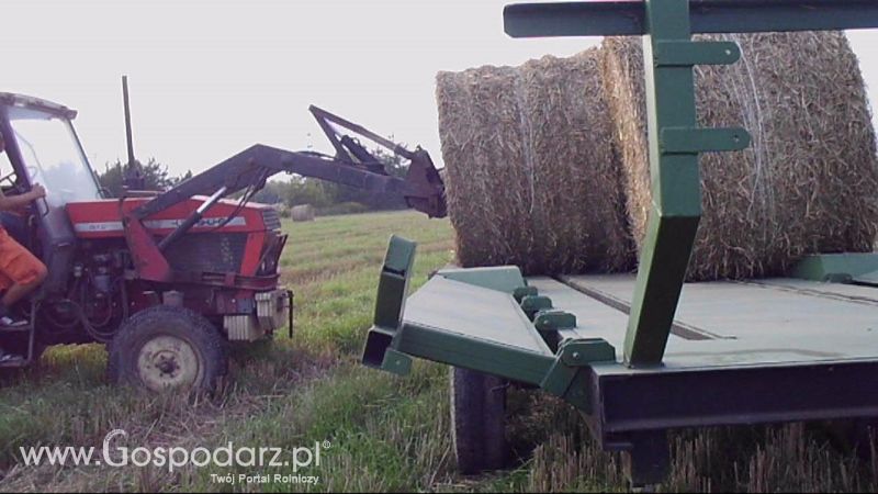 Zbiór Słomy 2013