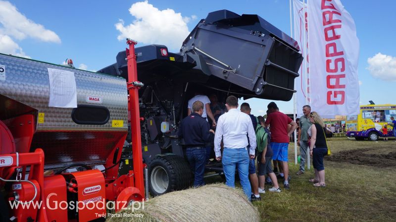 Maschio Gaspardo na Opolagrze 2017