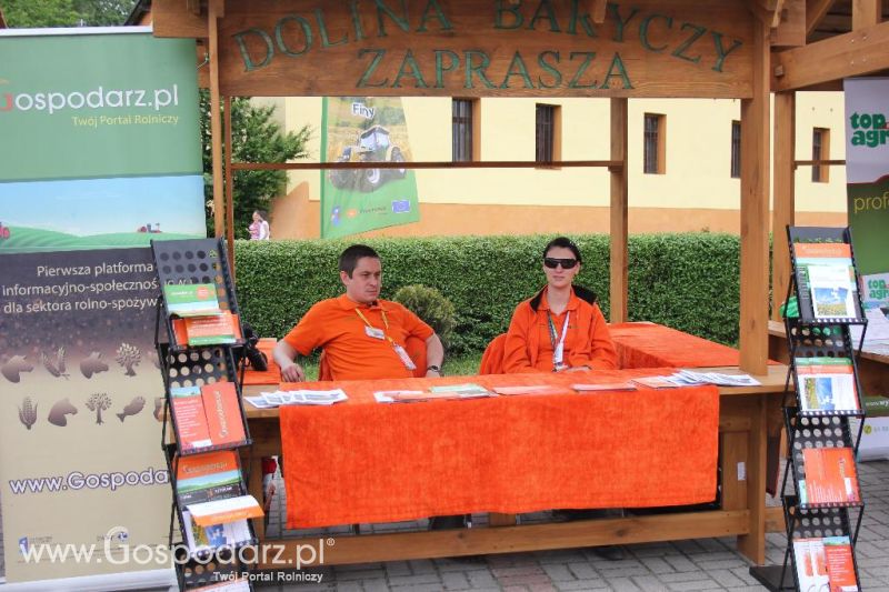 Święto Kaczki w Przygodzicach