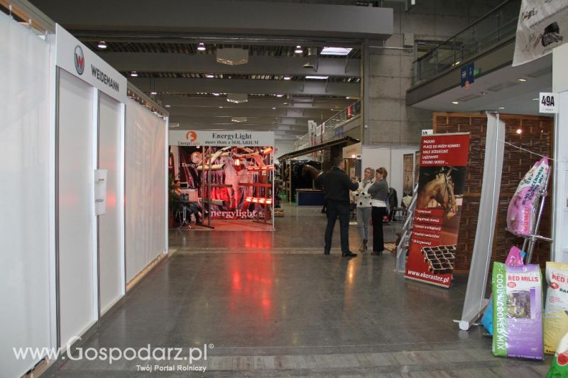 CAVALIADA 2013 w Poznaniu