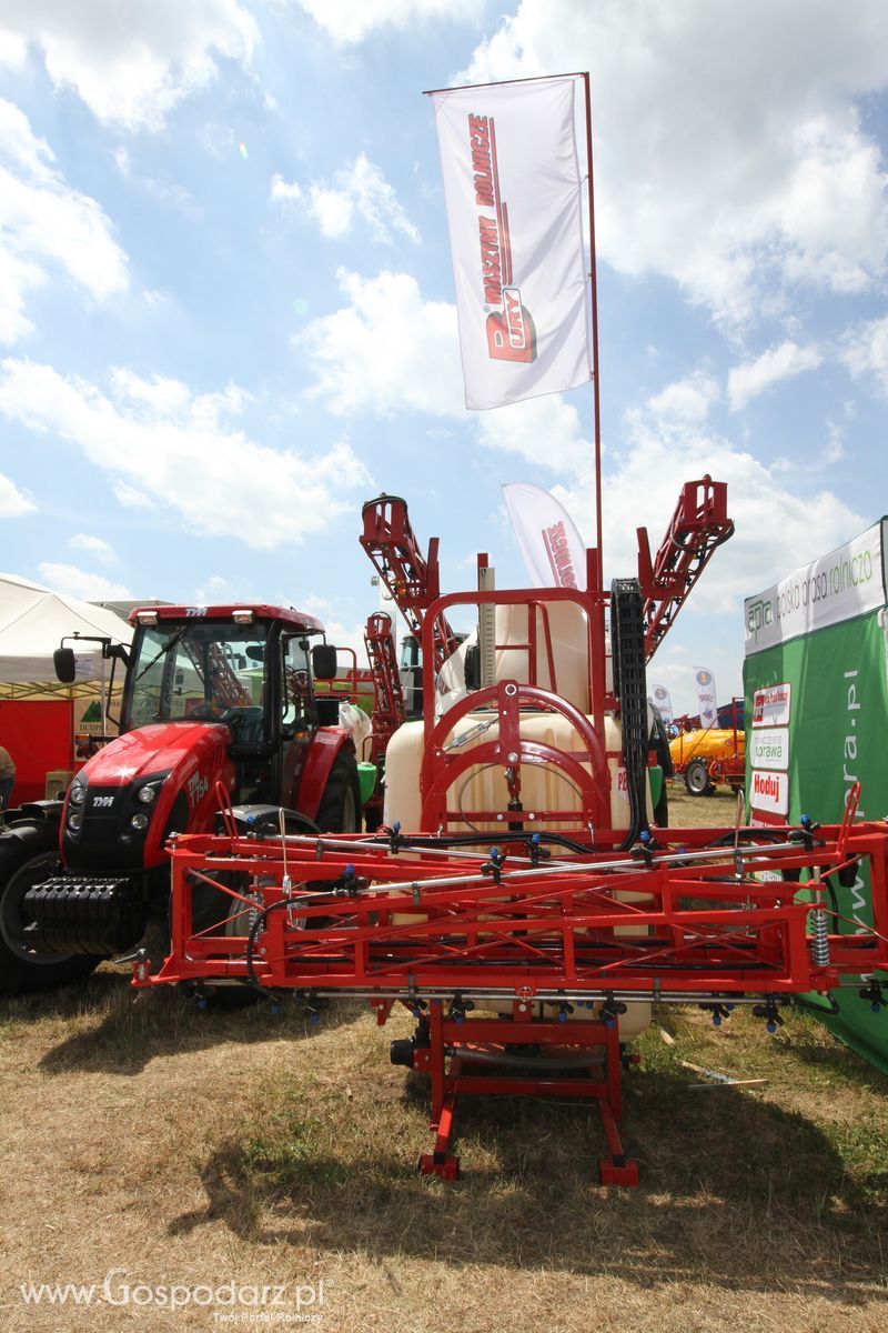 OPOLAGRA 2015 w Kamieniu Śląskim