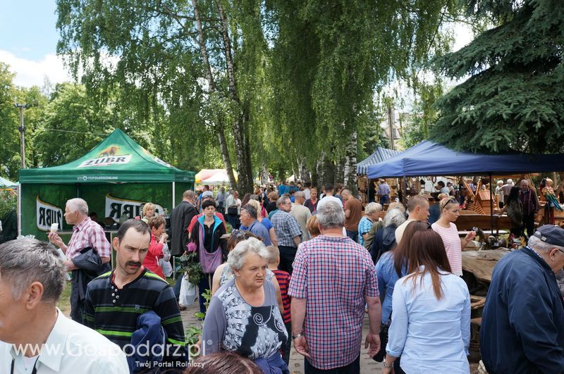 XXII Żuławskie Targi Rolne w Starym Polu